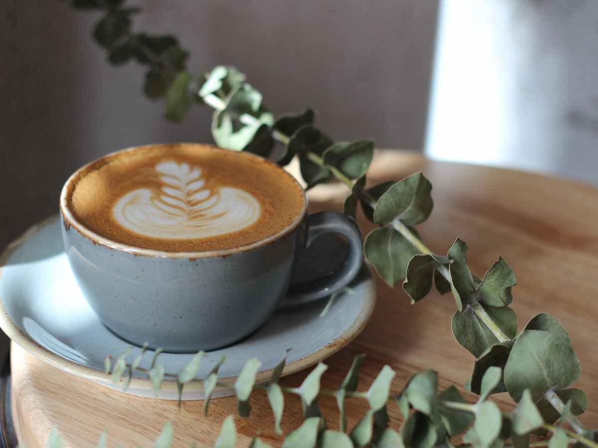 WISHED UPON A FALLING STAR AND LEFT BEHIND THE AVANT-GARDE FOR LEMONADE IN CRYSTAL GLASSES, PICKET FENCES, FILED TAXES: in which we handle&nbsp;logistics