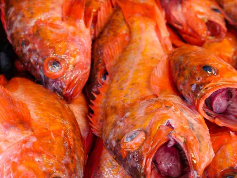 IF YOU GO CHASING RABBITS AND YOU KNOW YOU’RE GOING TO FALL: in which Dronie summons a lava worm and the first round&nbsp;concludes